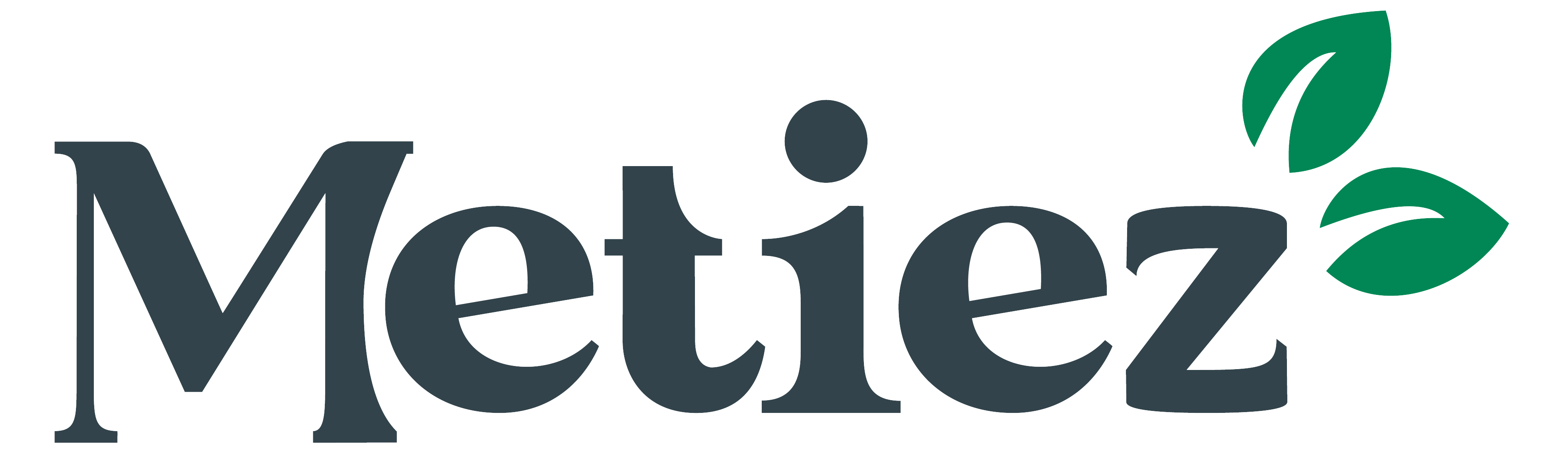 Metiez